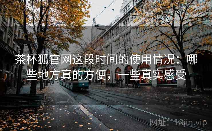 茶杯狐官网这段时间的使用情况:哪些地方真的方便,一些真实感受 茶杯狐官网这段时间的使用情况:哪些地方真的方便,一些真实感受